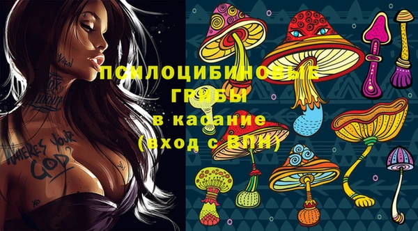 эйфоретик Алексеевка