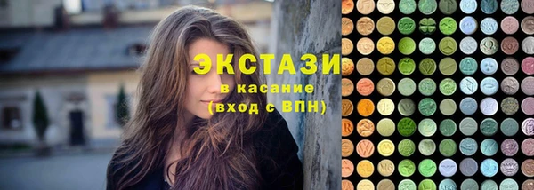 хмурый Алексин
