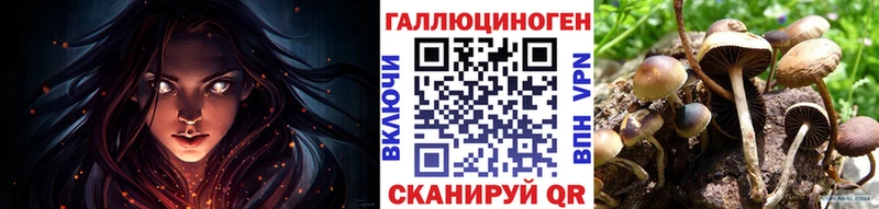 Галлюциногенные грибы Magic Shrooms  где купить наркоту  гидра рабочий сайт  Нытва 